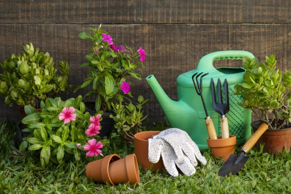 plants-pot-with-watering-can plants-pot-with-watering-can